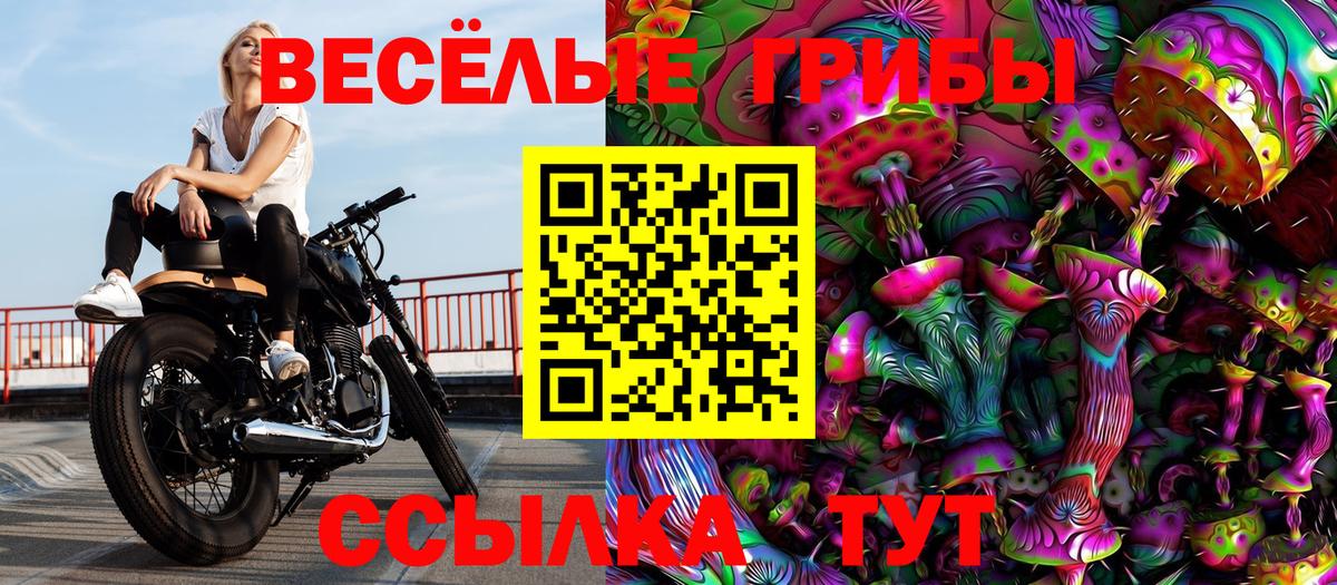 Псилоцибиновые грибы прущие грибы  Вход с VPN  Галлюциногенные грибы Magic Shrooms  как найти закладки  Кирово-Чепецк 